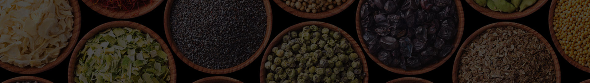 Banner-header