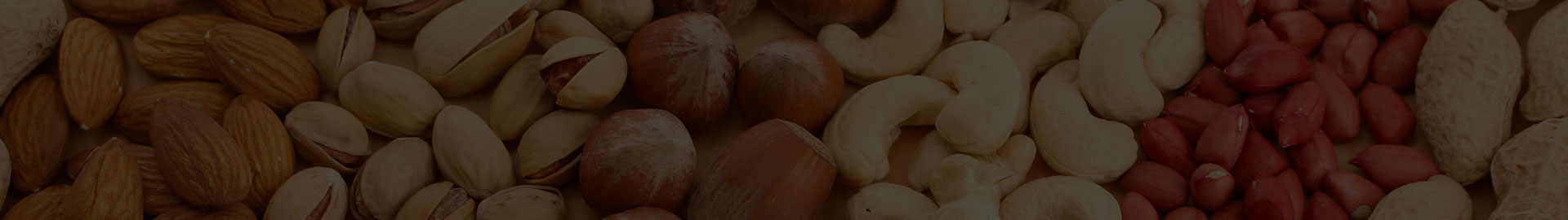 Banner-header